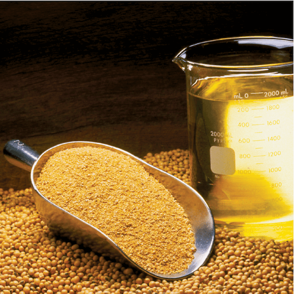 Sample image soybean2