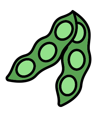 Organic soybeans icon