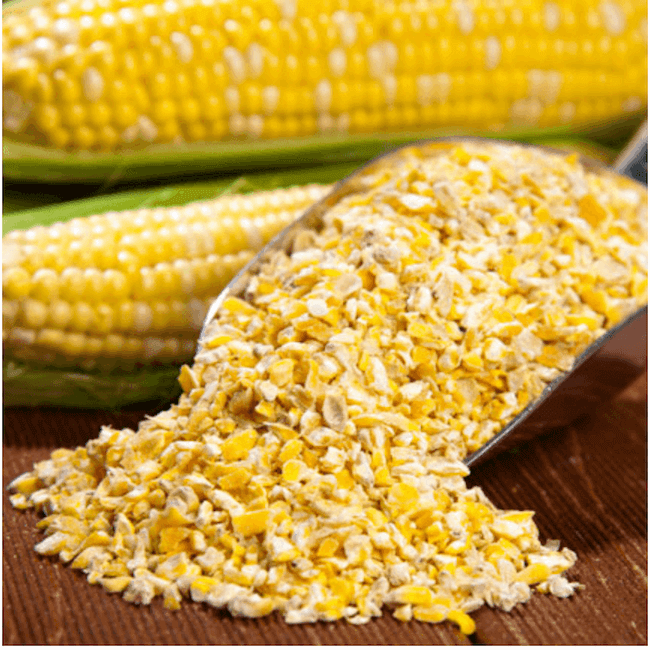 Sample image corn2